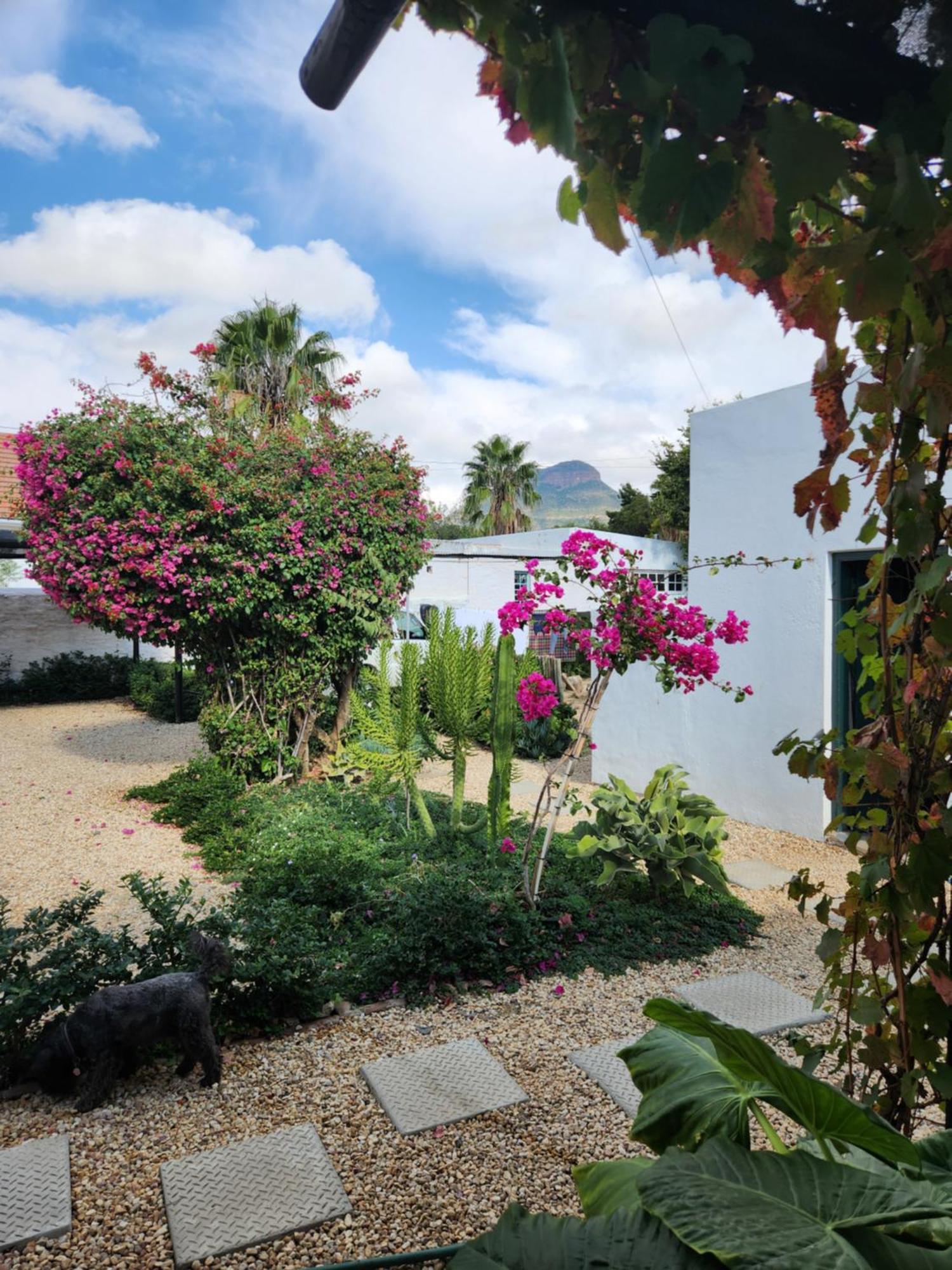 Die Dorpshuis Graaff Reinet Graaff-Reinet Exterior foto