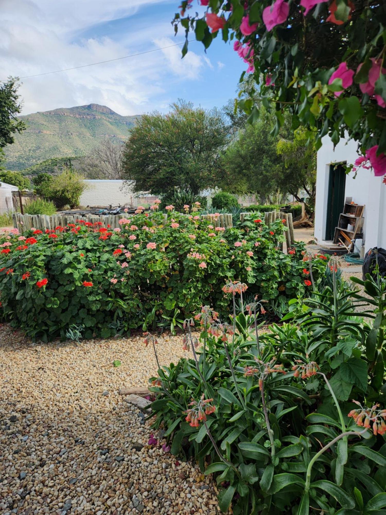 Die Dorpshuis Graaff Reinet Graaff-Reinet Exterior foto